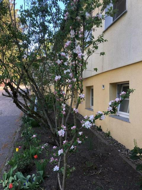 Feriendorf Waldfrieden Suhl Exterior foto